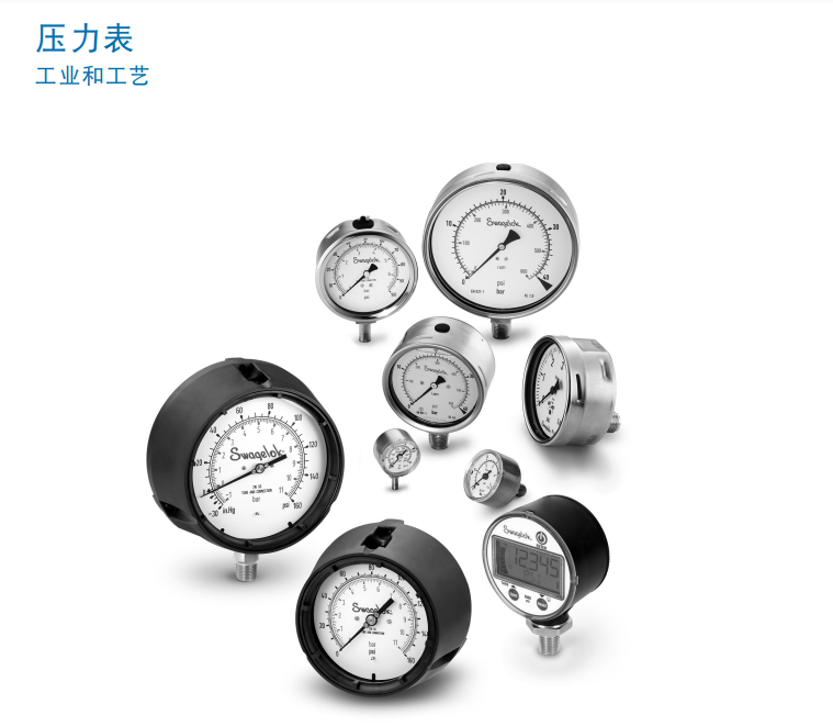 世伟洛克工艺压力表
